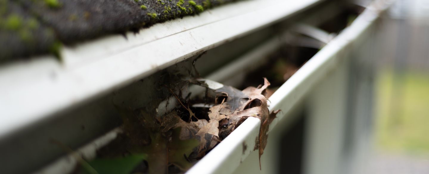 gutter clogged with leaves and debris yorktown heights ny